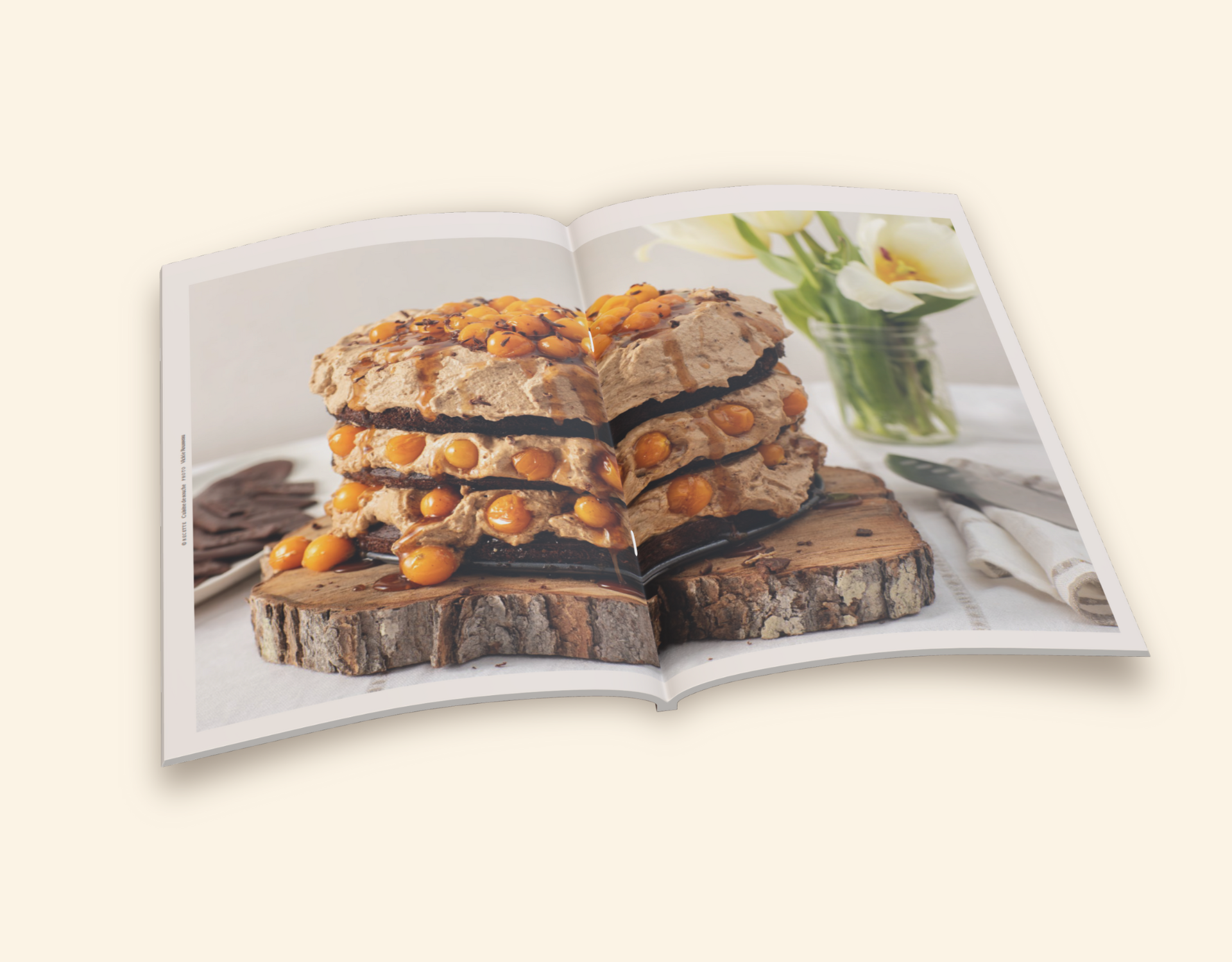 Livre de recettes sur l'ail noir - Volume 1