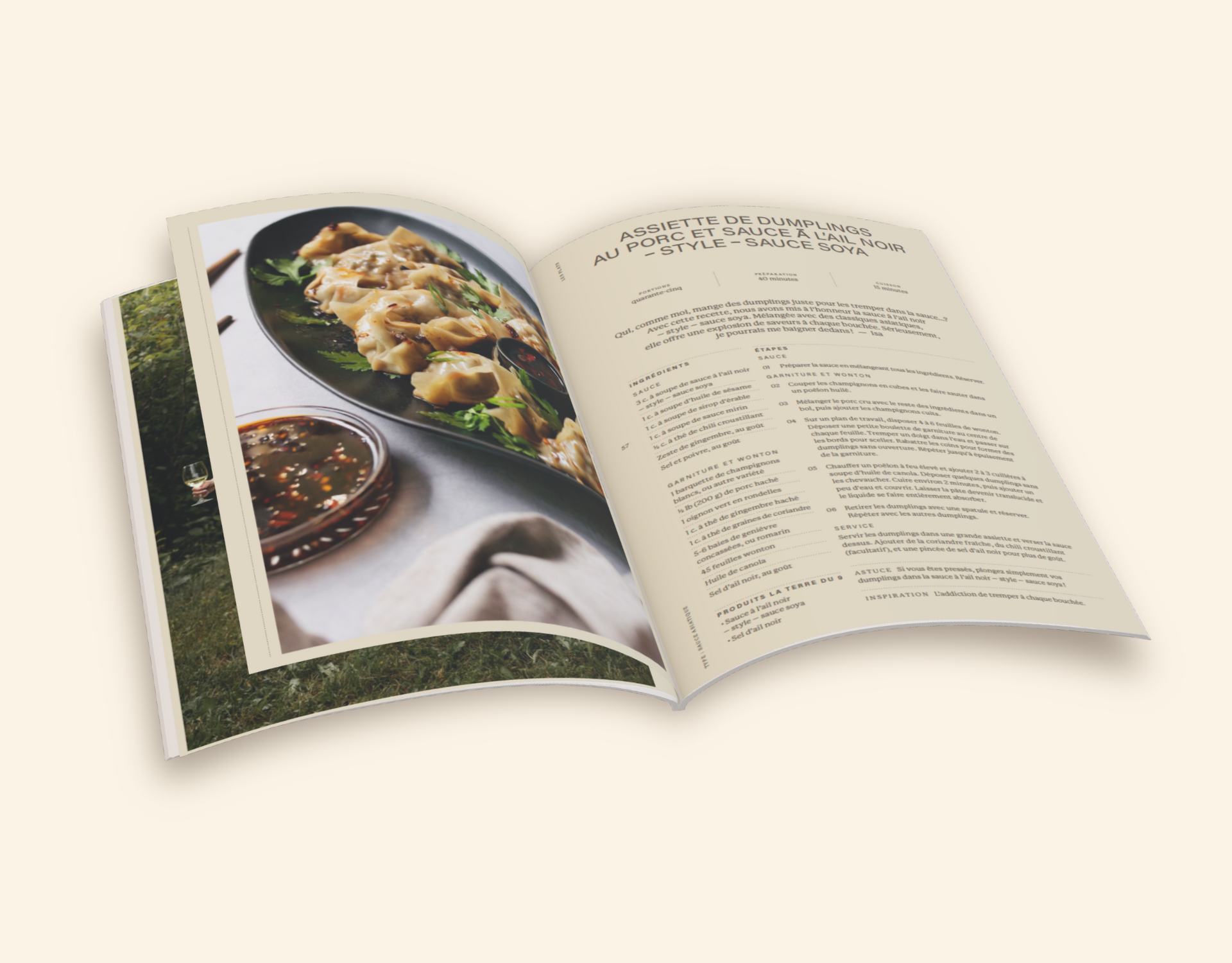 Livre de recettes sur l'ail noir - Volume 1