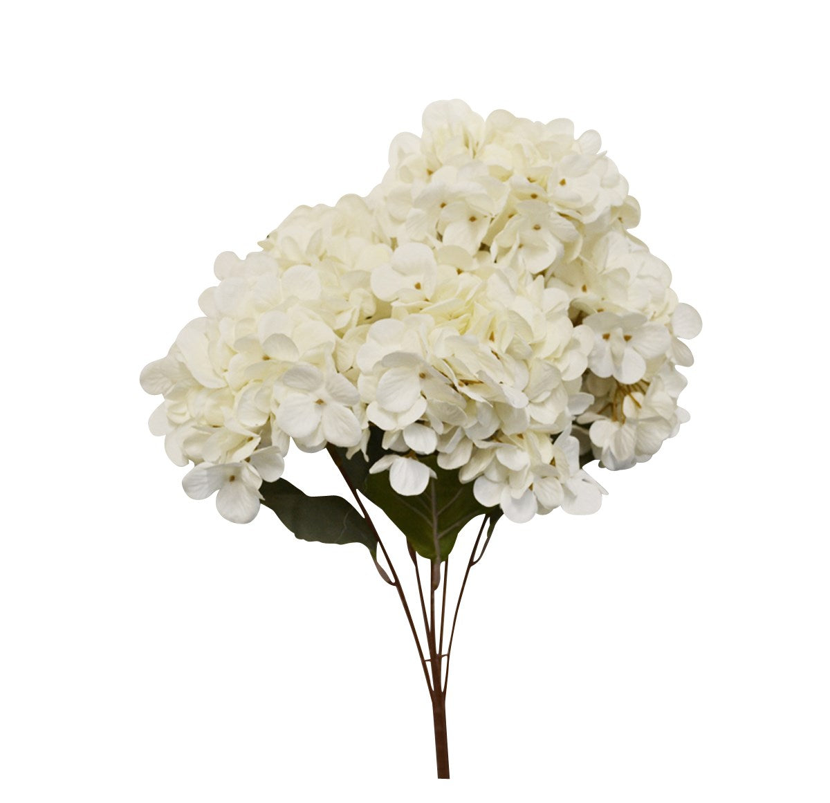 Bouquet hydrangée blanc