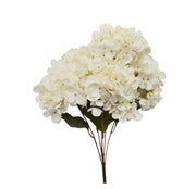 Bouquet hydrangée blanc
