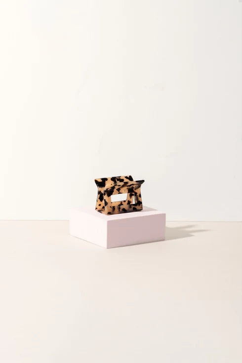 Capsule Tortoise - Petite
