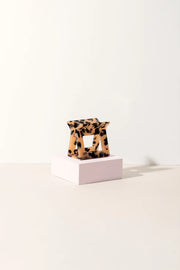 Capsule Tortoise - Large