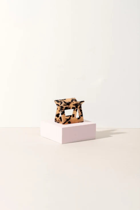 Capsule Tortoise - Moyenne
