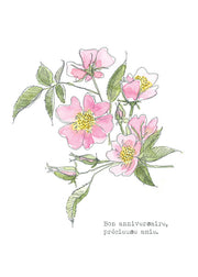 Carte - Églantine 2