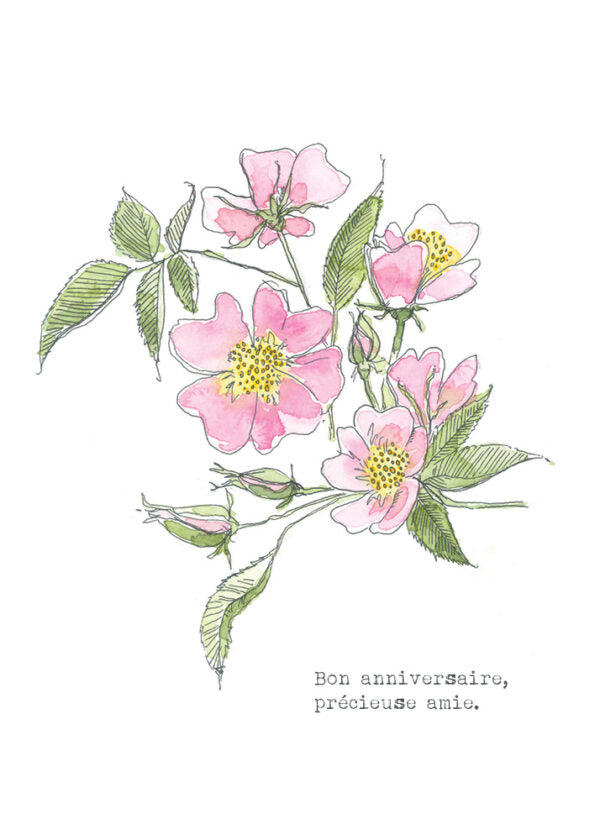 Carte - Églantine 2
