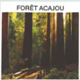 Tablette vapeur pour la douche - Forêt acajou