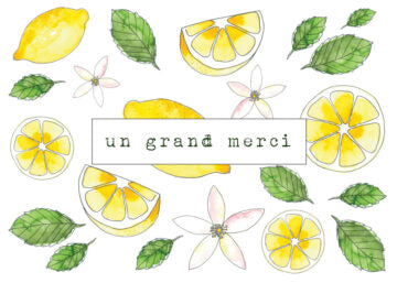 Carte mini - Frédérique 2M