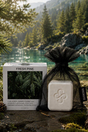 Cube vapeur pour la douche - Fresh pine