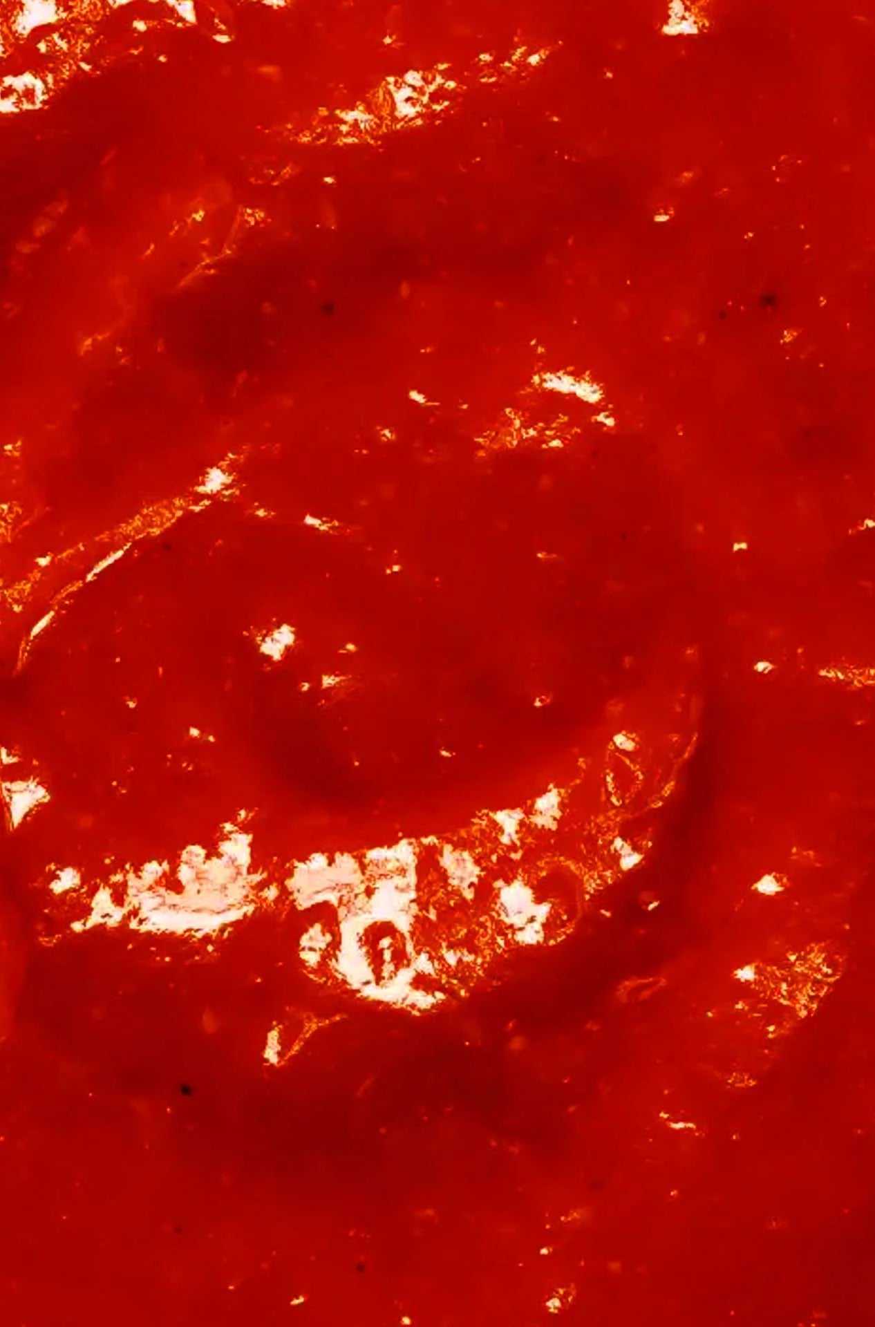 Sauce piquante - Le Fruit Défendu