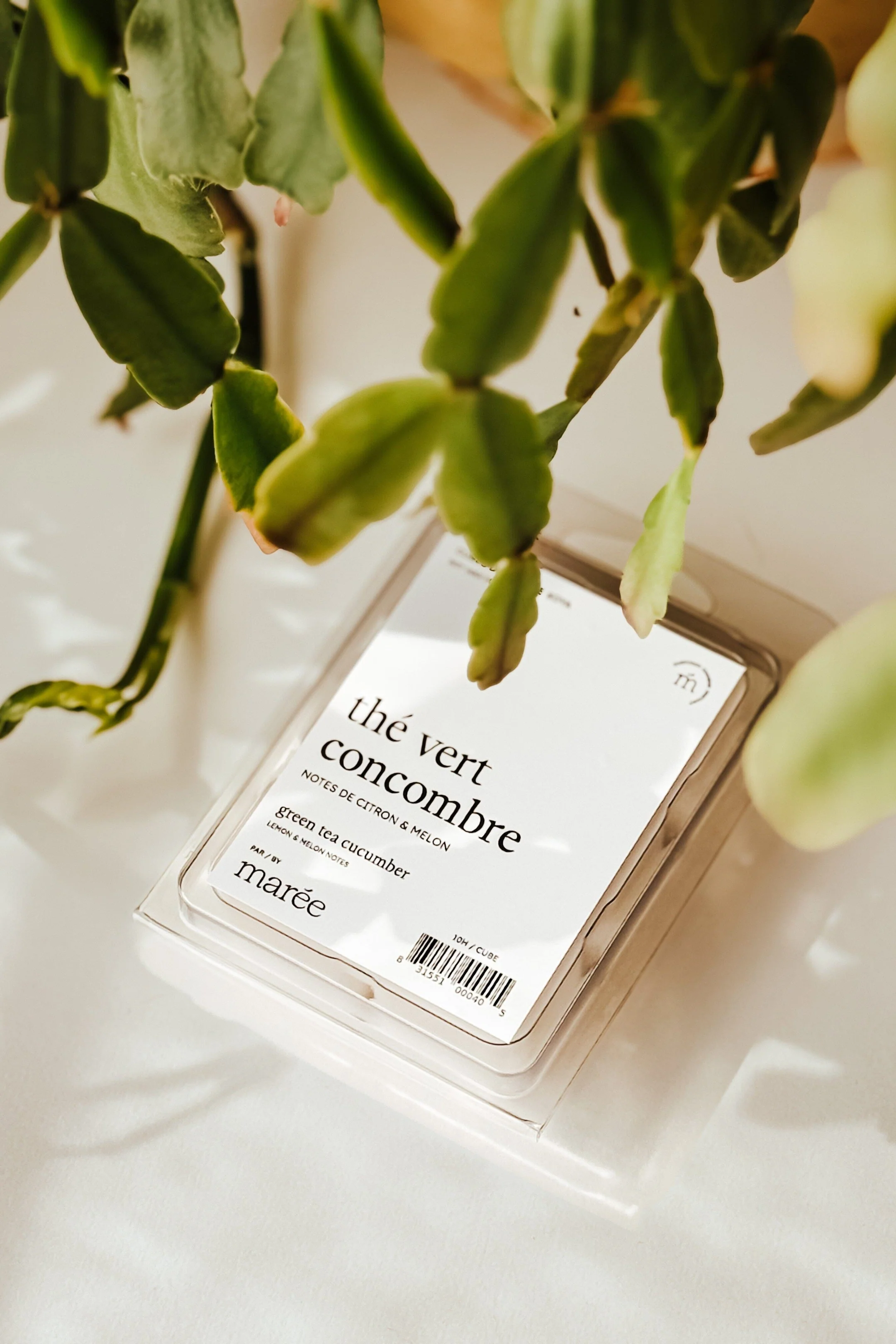 Cubes de cire de soya - Thé vert concombre