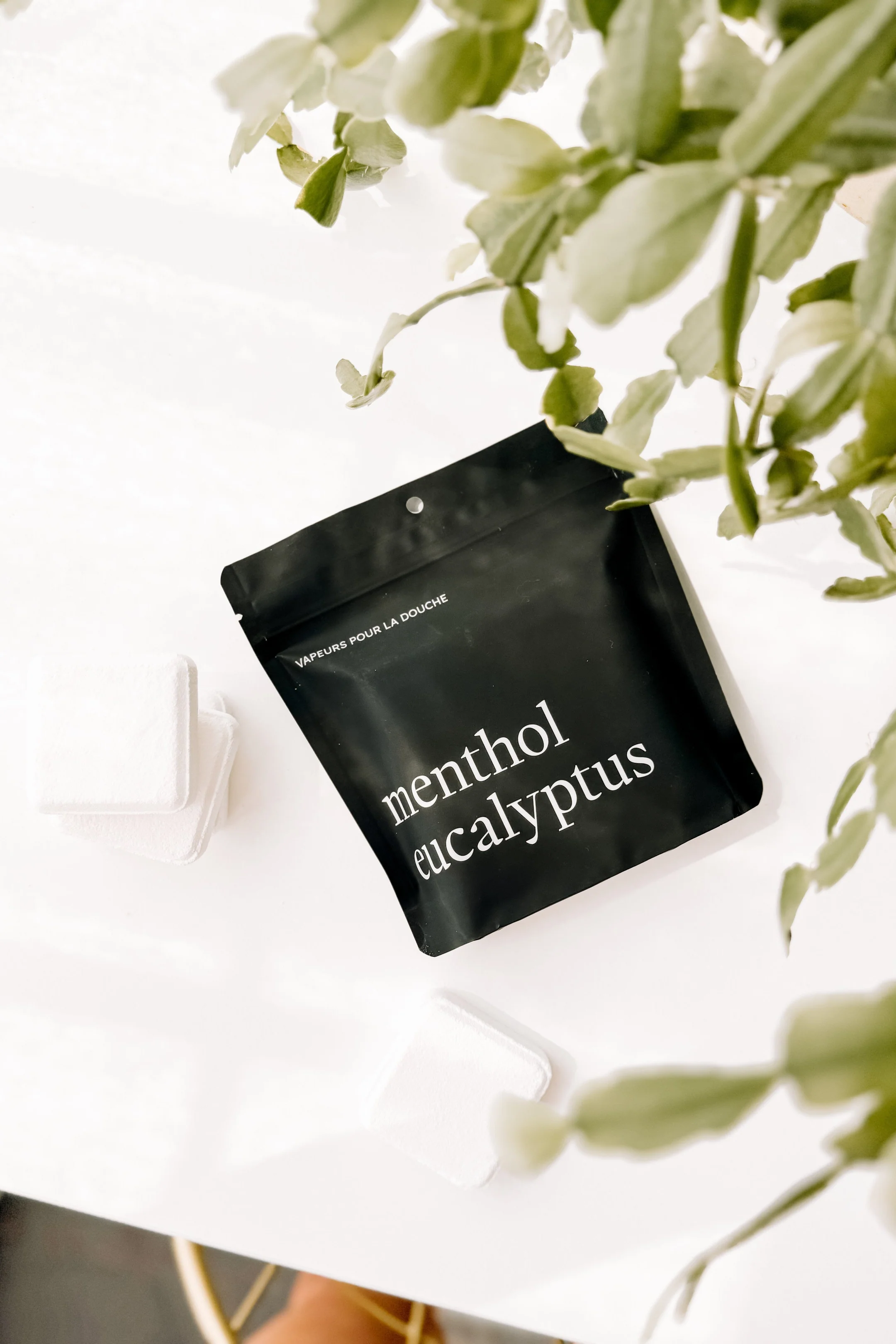 Vapeurs de douche à l'unité - Menthol & Eucalyptus